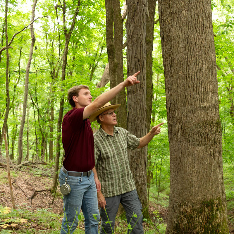 Featured image for “Independent Stave Company Expands Land Assistance Program into Missouri, Appoints New Forester”